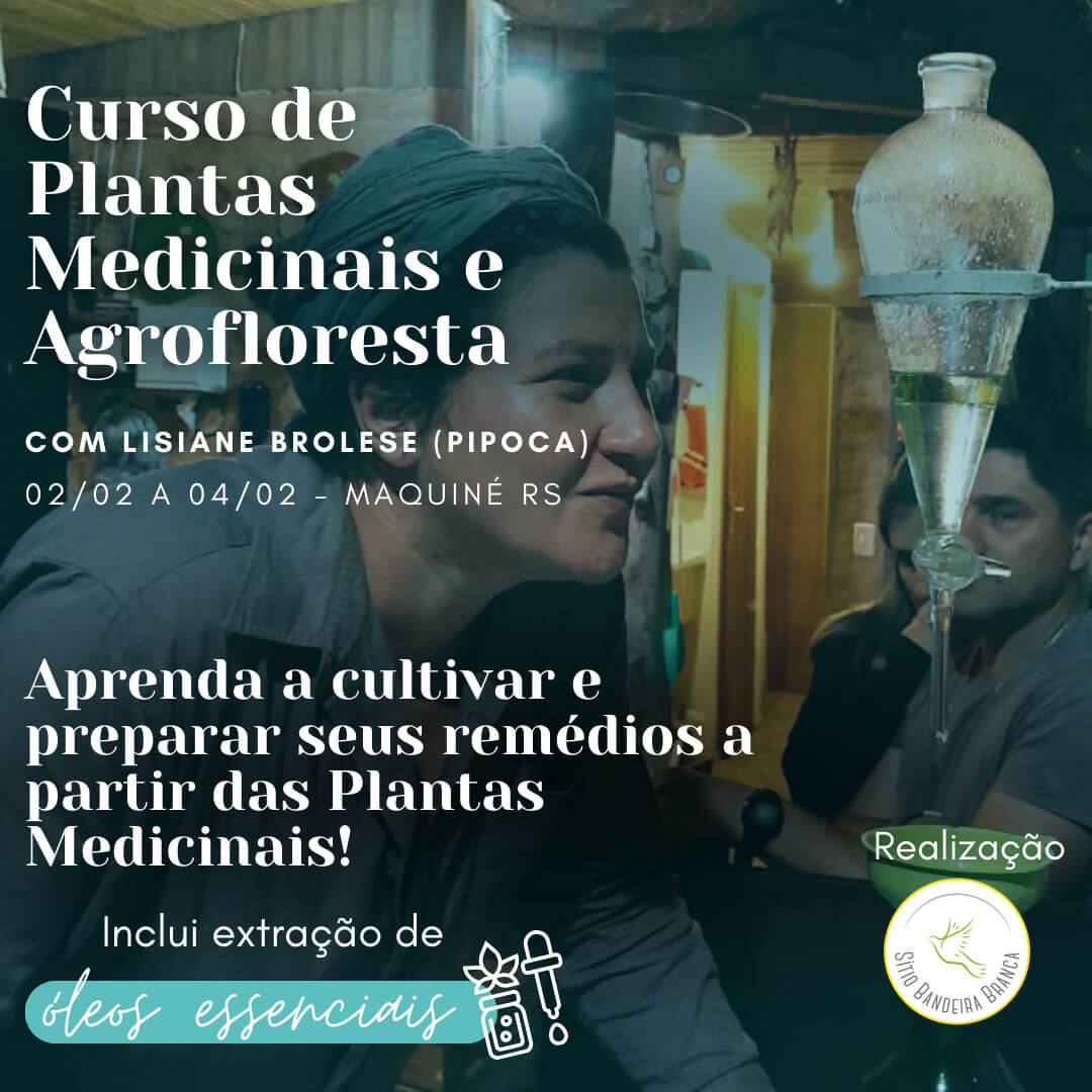 Curso ensina sobre plantas medicinais e agroflorestas