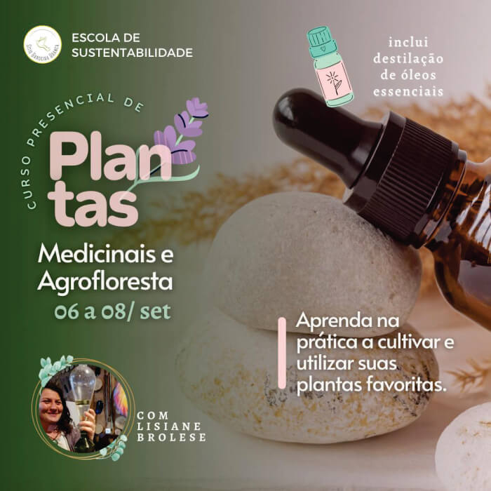 Plantas Medicinais e Agrofloresta