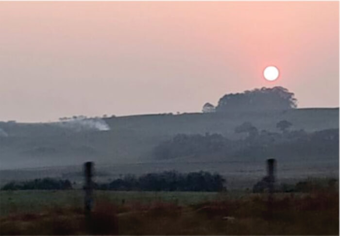 Sol alaranjado pela fumaça em área verde